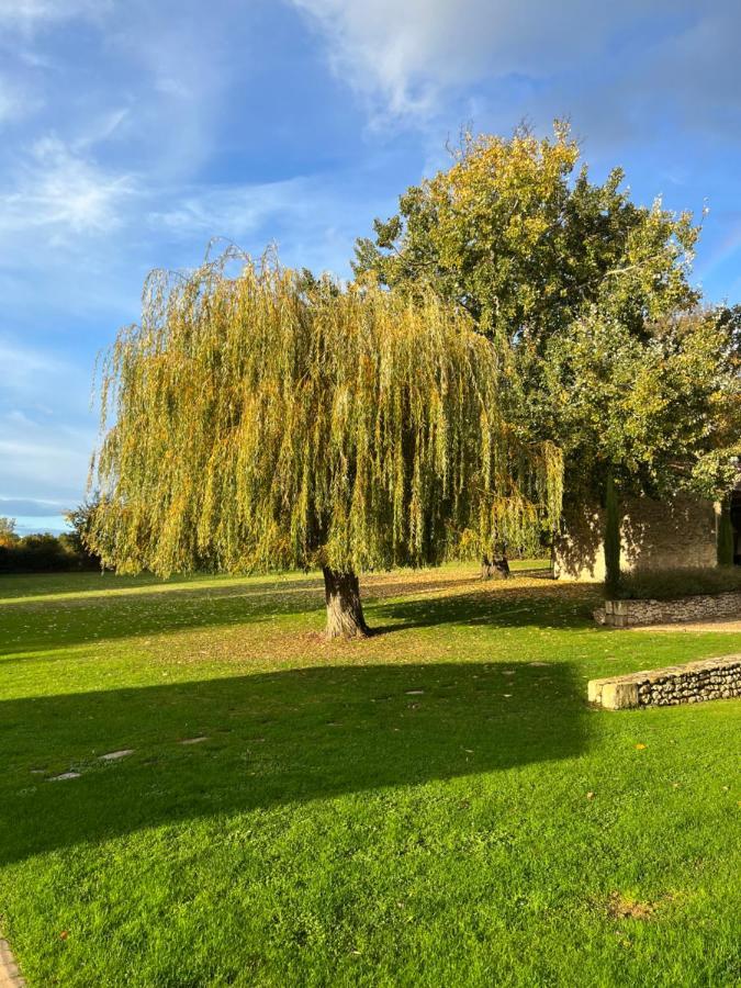 Saint-Quentin-de-Caplong La Girarde B&B 외부 사진