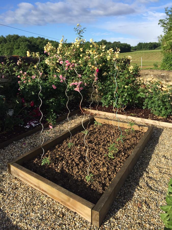 Saint-Quentin-de-Caplong La Girarde B&B 외부 사진